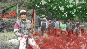 Kiwe Thegnas - Guardia Indígena