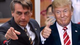 Bigio: Bolsonaro es un peligro, tiene las mismas tácticas de Trump