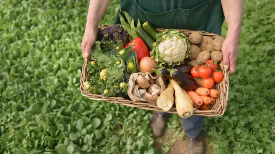 Resultado de imagen de alimentos bio