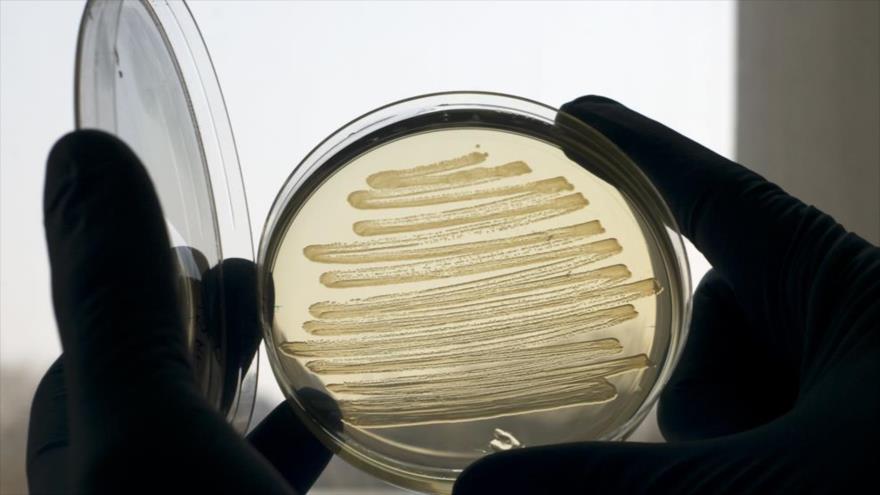 Las bacterias resistentes a los antibióticos fueron responsables de la muerte de 33 000 personas en la Unión Europea (UE) en 2015.