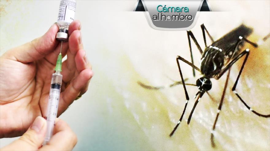Cámara al Hombro: Chiapas, Dengue un problema de salud pública