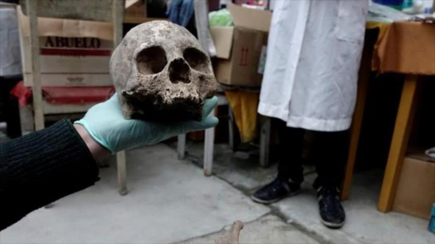 Uno de los cráneos hallados en una necrópolis en el departamento de La Paz, Bolivia, 12 de noviembre de 2018. (Foto: Reuters)