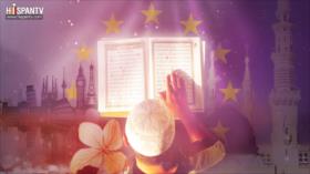 Corrientes de la Vida