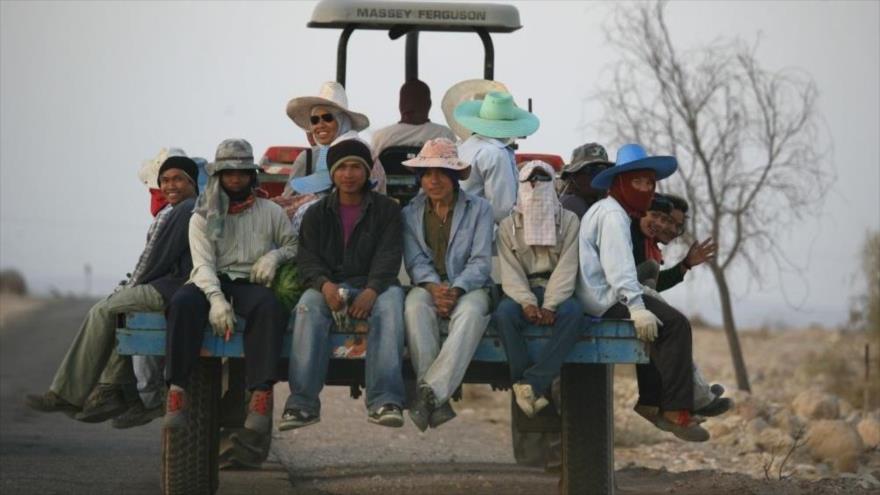 Los trabajadores tailandeses que trabajan en los territorios palestinos ocupados por Israel, 22 de octubre de 2008.