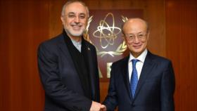 Irán pide a AIEA imparcialidad en la verificación de pacto nuclear