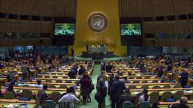 Asamblea General de la ONU aprueba 5 resoluciones propalestinas