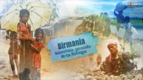 Esta es mi tierra; Birmania: Islamofobia, genocidio de los Rohingya