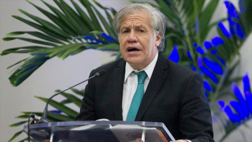 Secretario general de la OEA, Luis Almagro, en Santo Domingo, capital de la República Dominicana, 28 agosto 2018 (Foto: AFP)
