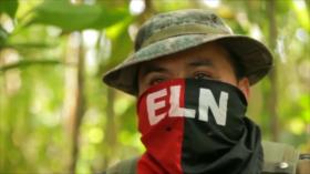 ELN declara cese al fuego unilateral por temporada navideña