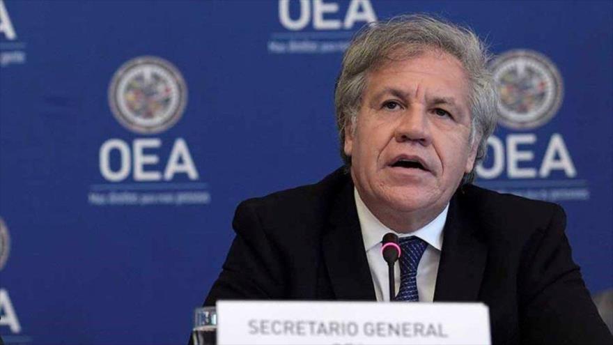 El secretario general de la Organización de Estados Americanos (OEA), Luis Almagro, en una sesión del organismo.