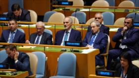 ONU ratifica soberanía siria sobre recursos naturales del Golán 