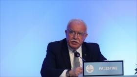 Palestina solicitará membresía plena de la ONU en enero