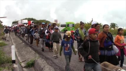 Ingobernabilidad provoca desplazamientos indígenas en Chiapas