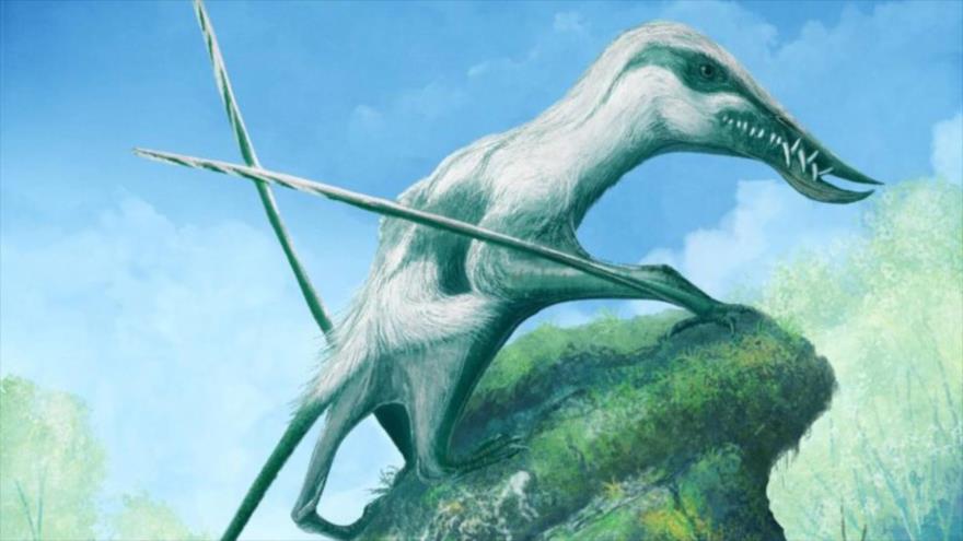 Una imagen representativa de Klobiodon rochei, una nueva especie de pterosaurios del período Jurásico descubierta en el Reino Unido.