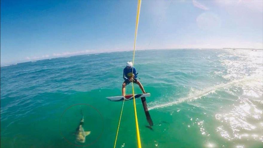 Vídeo: Surfista se estrella con un tiburón en pleno entrenamiento