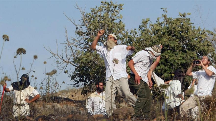 ONU condena ataque a pedradas de colonos a premier palestino | HISPANTV