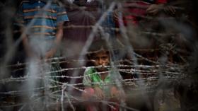 AI: Población Rohingya sigue viviendo bajo apartheid en Myanmar 