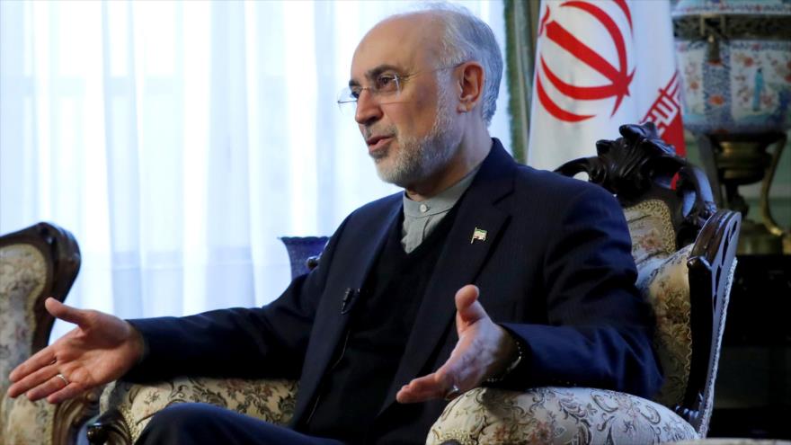 El jefe de la Organización de Energía Atómica de Irán (OEAI), Ali Akbar Salehi, en una entrevista en Bruselas, 27 de noviembre de 2018. (Foto: Reuters)