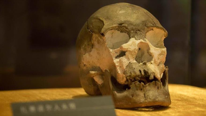 Hallan un cráneo de hace 10 mil años en frontera norte de China | HISPANTV