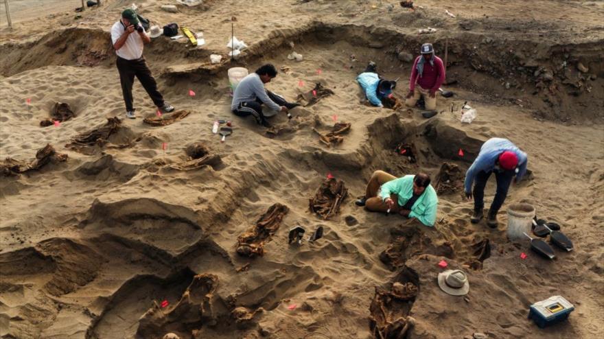 Los restos de 132 niños sacrificados pertenecientes a una antigua tribu llamada Chimúm en Perú, enero de 2019. (Foto: National Geographic)