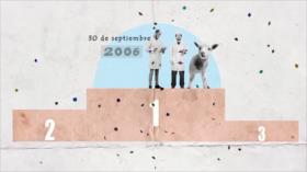 Los Primeros: La primera clonación en Asia Occidental
