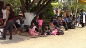 Más de mil migrantes rechazan visa humanitaria en México 
