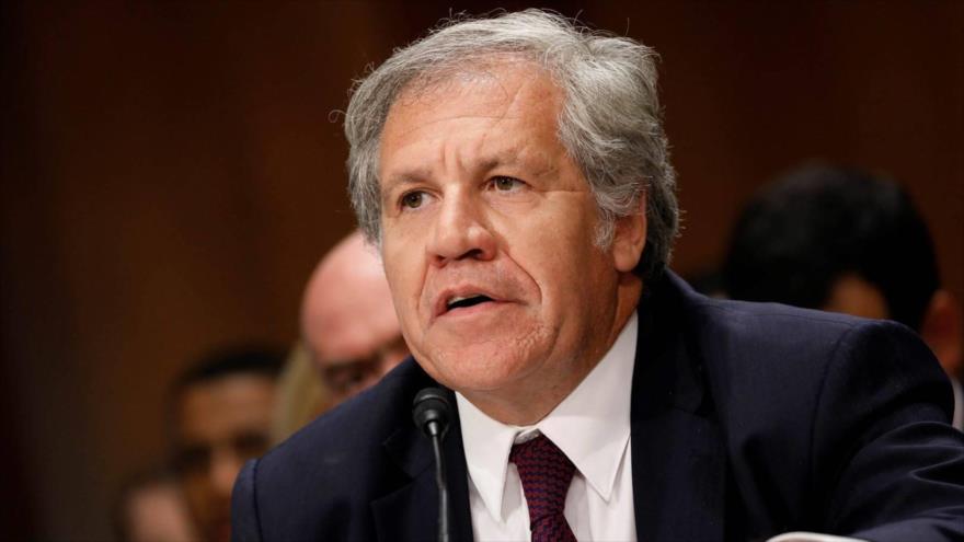 El secretario general de la Organización de Estados Americanos (OEA), Luis Almagro.