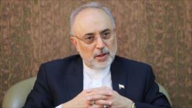‘Irán, listo para compartir su experiencia en el ámbito nuclear’