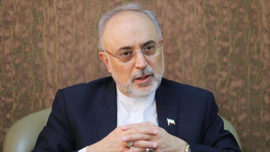 El jefe de la Organización de Energía Atómica de Irán (OEAI), Ali Akbar Salehi.