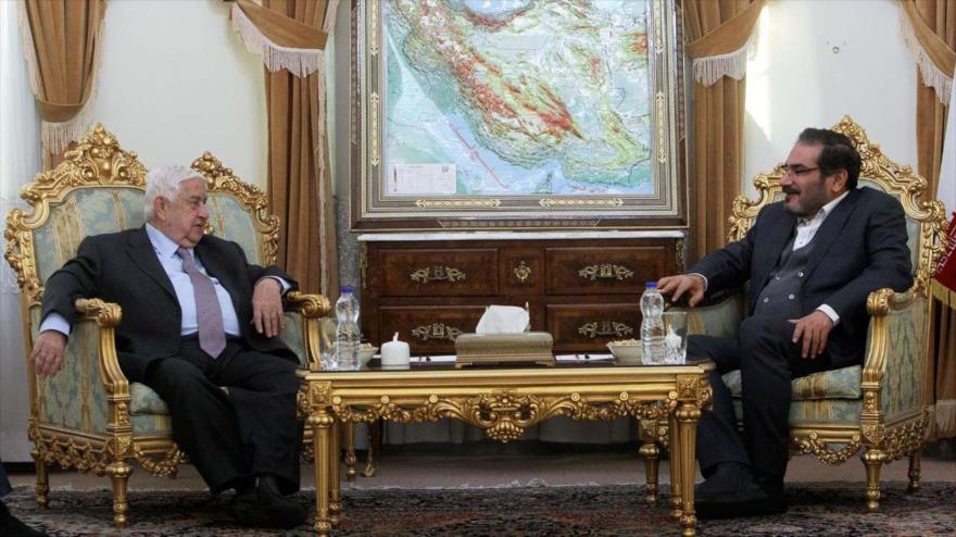 El secretario del Consejo Supremo de Seguridad Nacional de Irán, Ali Shamjani, y el canciller sirio, Walid al-Moalem, en Teherán, 5 de febrero de 2019.