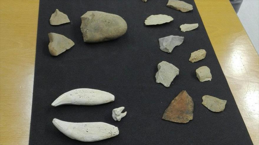 Restos arqueológicos del Paleolítico Inferior hallados en la cueva de Praileaitz, en la cantera de Sasiola de Deba, España.