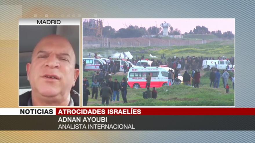 “Israelíes deben ser procesados por crímenes contra palestinos” | HISPANTV