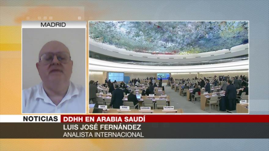 Fernández: ONU, incapaz de frenar violaciones israelíes de DDHH