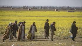 Unos 2000 miembros del EIIL se entregan a aliados de EEUU en Siria