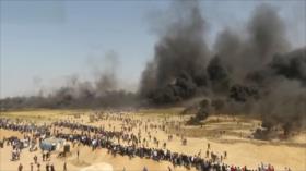 Recuerdan en EEUU primer año de la Gran Marcha del Retorno