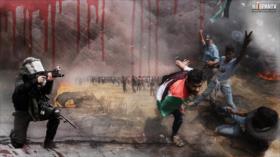Palestina y la marcha por el retorno: el derecho de vivir