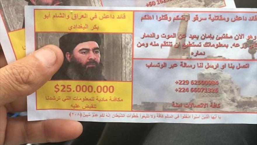 Folletos lanzados por Aviación iraquí ofrecen un premio de $ 25 millones para quienes revelen el paradero del líder de Daesh, Abu Bakr al-Baghdadi.