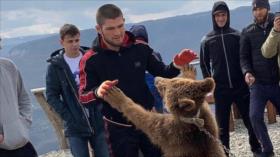 Vídeo: Un luchador ruso pelea con un oso, ‘viejo amigo’ suyo