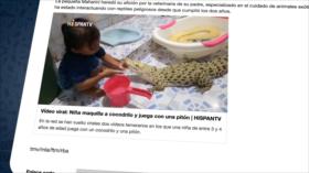 El Toque: El mejor aeropuerto del mundo: Imágenes de la destrucción del planeta: La mujer mas fuerte