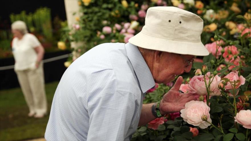 Un hombre adulto olfatea una flor.