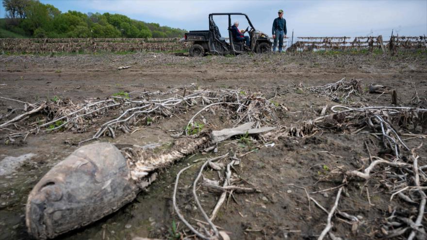 ONU alerta: La Tierra “no va por buen camino” en cambio climático | HISPANTV