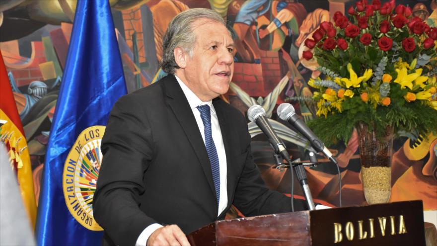 Almagro califica de “discriminatorio” unas elecciones sin Morales
