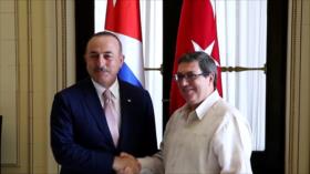 Cuba y Turquía apuestan por potenciar lazos políticos y económicos