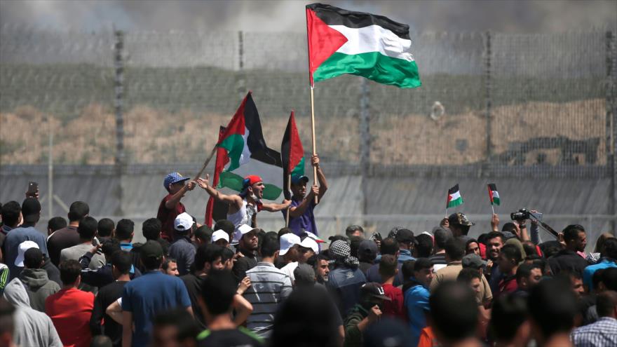 OLP asegura que palestinos no coexistirán con la ocupación israelí | HISPANTV