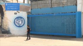 Un millón de personas en Gaza no tendrán alimentos en junio
