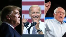 ‘Trump perdería elecciones presidenciales ante Biden y Sanders’
