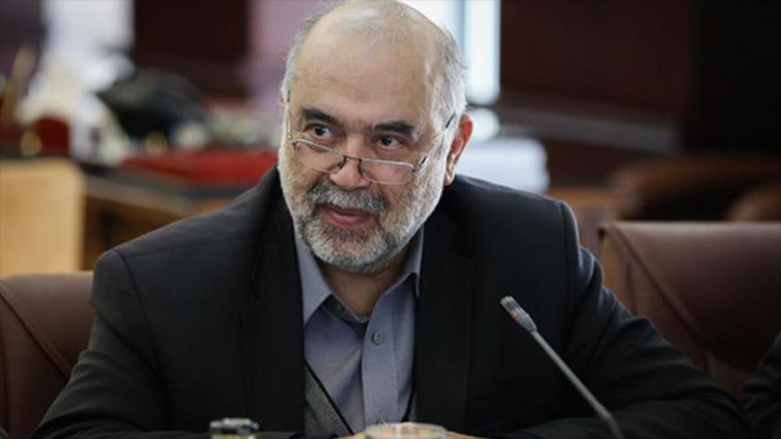 El director de la Organización de Aviación Civil de Irán, Ali Abedzade.
