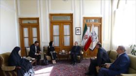 “Ocupación militar de EEUU fortalece al terrorismo en la región”