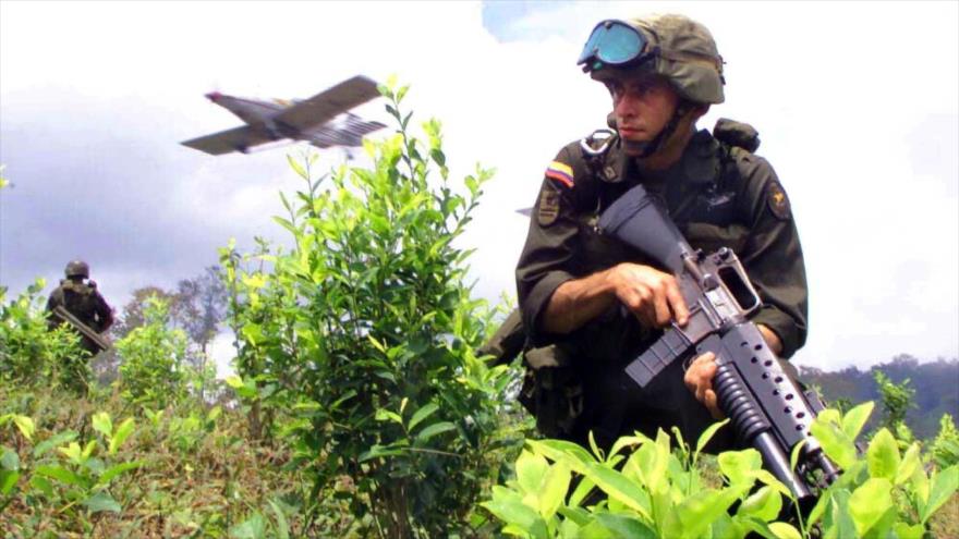 Policía colombiana de control de drogas patrulla un campo de coca en la provincia sureña de Nariño mientras un avión vuela para fumigar.
