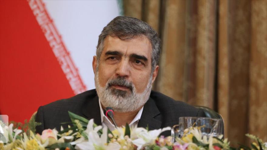 El portavoz de la OEAI, Behruz Kamalvandi, asiste a una rueda de prensa en Teherán, capital persa, 7 de julio de 2019. (Foto: IRNA)